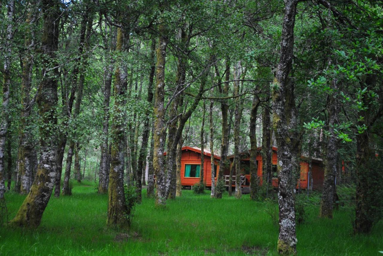 Bungalows Da Peneda Lamas de Mouro Exteriör bild